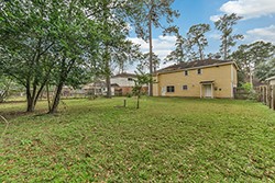 orangewood-3