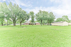 RunningCypress01_250
