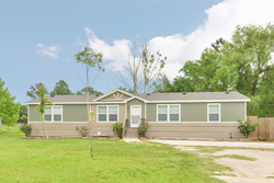 Singletary01_250x