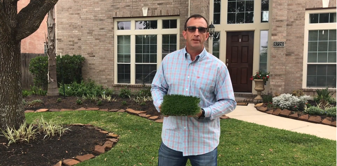 Landscaping 101