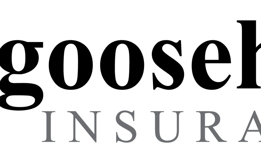 Goosehead registered logo wide The Loken Group Your Houston Real