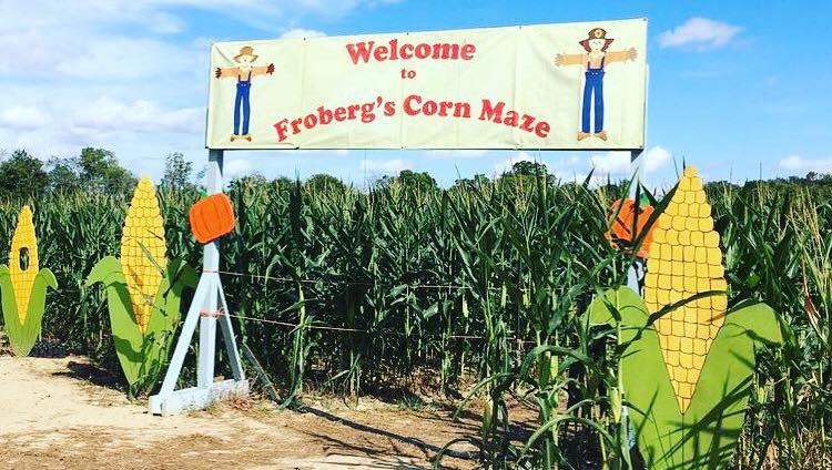 Houston Corn Maze Fall Festival
