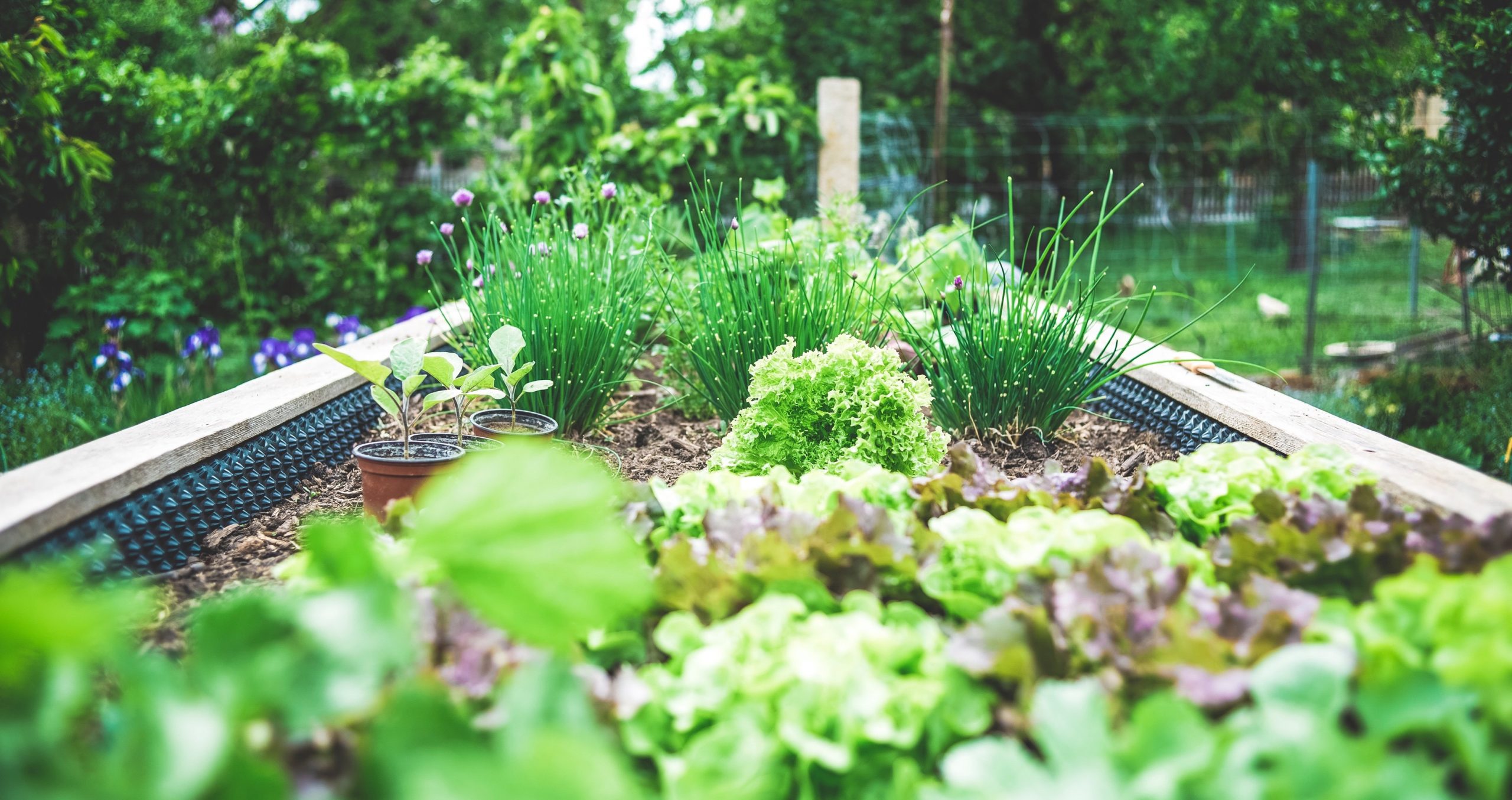 Home Garden and Curb Appeal
