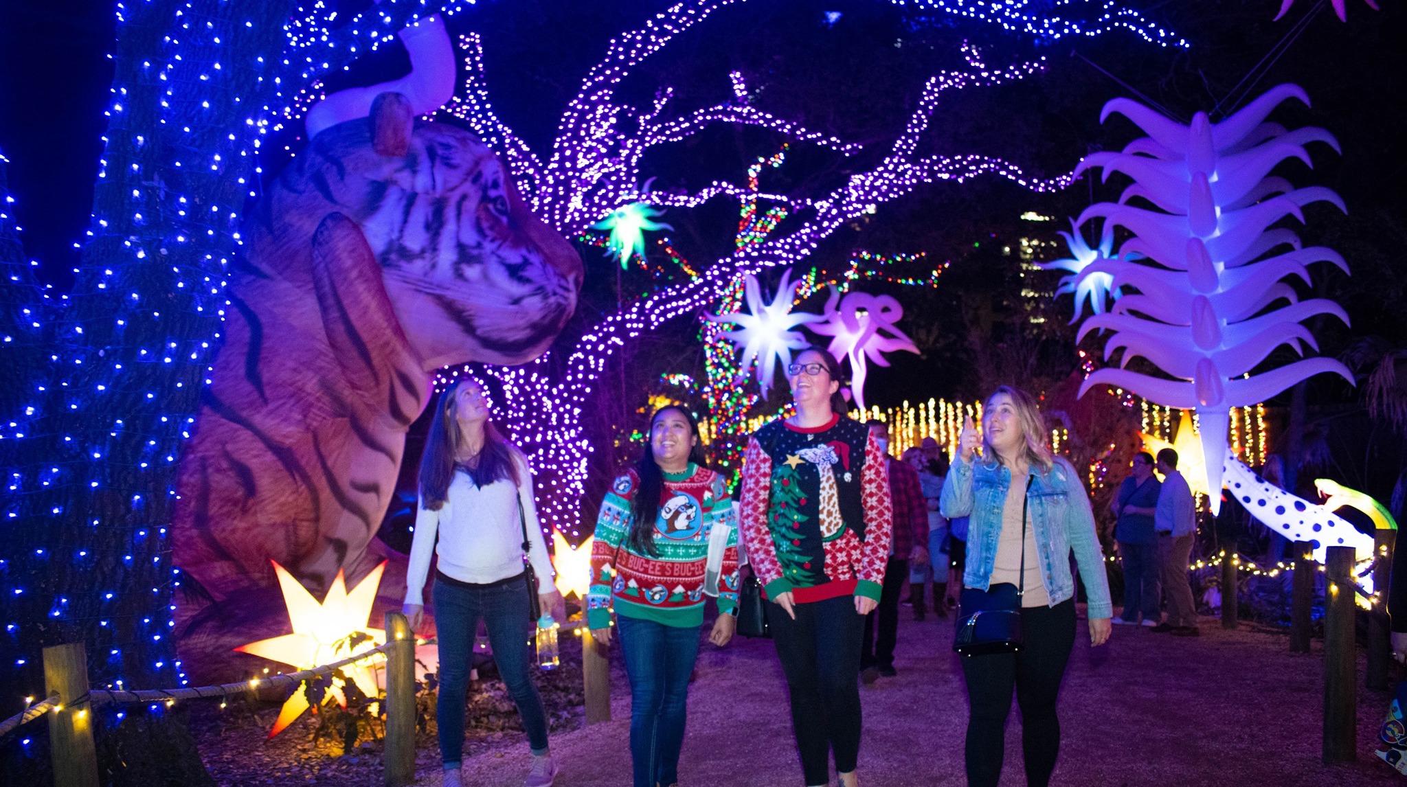 Houston Holiday Event at the Zoo