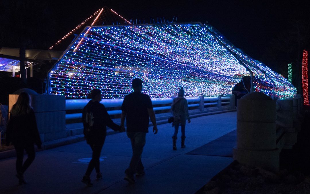 Moody Gardens Holiday Lights The Loken Group Your Houston Real Estate Solution